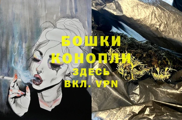 крисы Белоозёрский